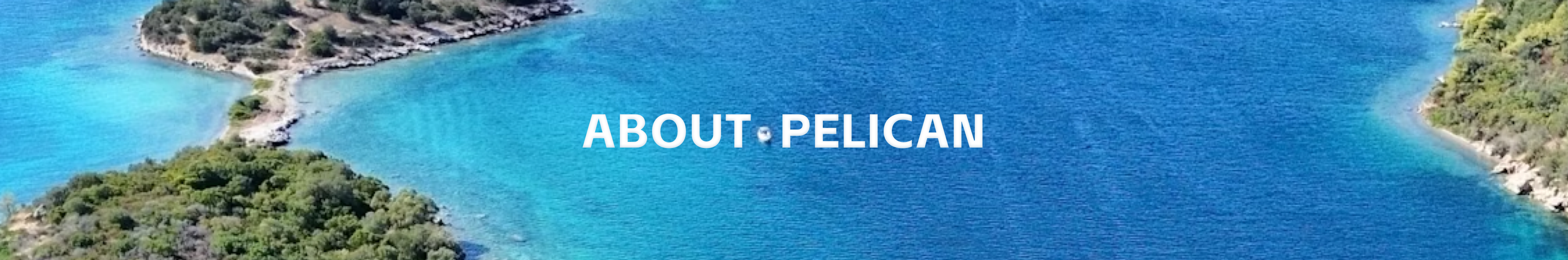 About Pelican Shipping